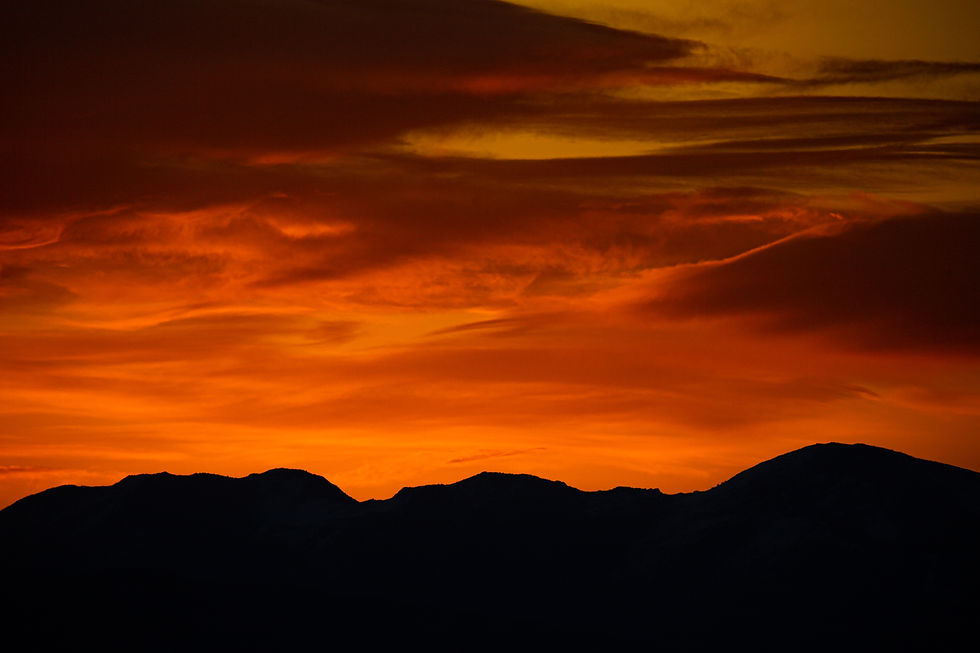 OrangeFlow