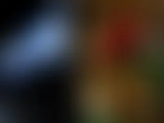 EL CONFLICTO ISRAELÍ-PALESTINO