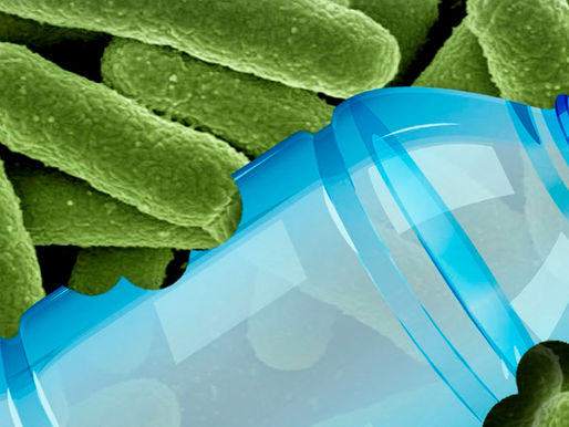 Bacterias degradadoras de plástico