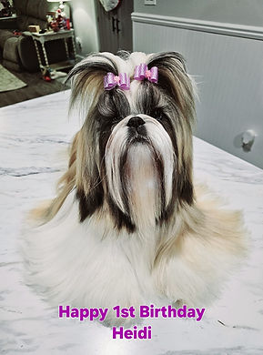 Heidi 1 year.jpg