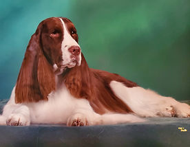 Handsome Robert.jpg