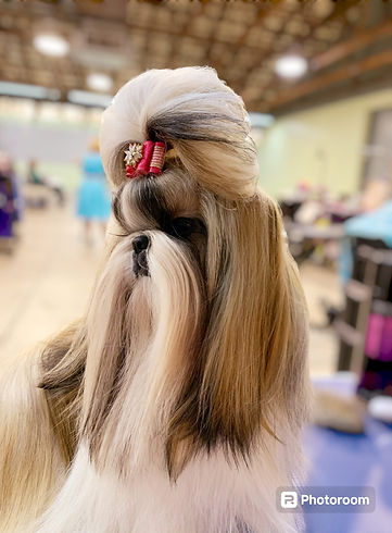 Heidi Side show Southbend Show.jpg