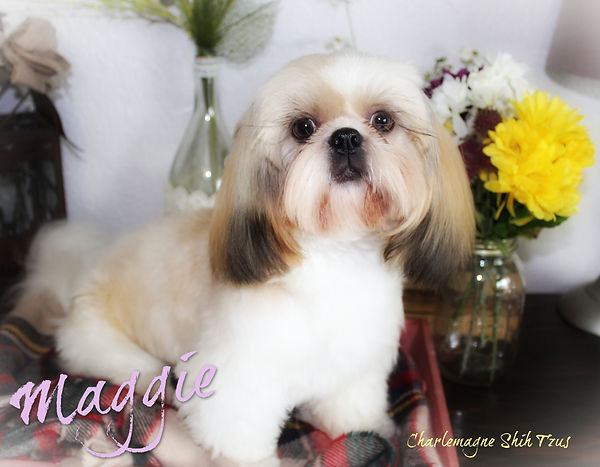 Maggie 4_29.jpg