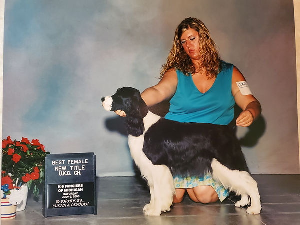 Tabitha Best Female New Title.jpg