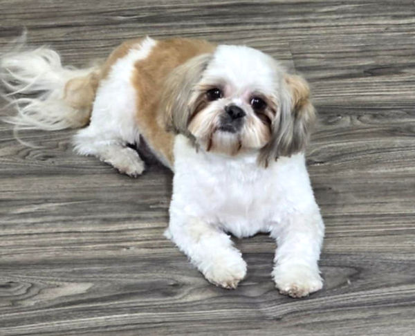 3d5bf94a-2d4b-4622-b3a7-1f3472fd2fd6_edi