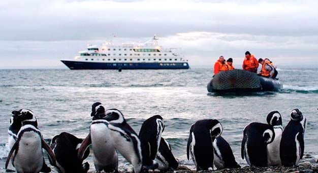 Australis en tierra del fuego