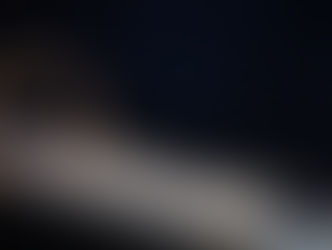 RALPH LAUREN & OLYMPIC TEAM USA