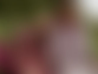 DIE GROSSE LUIS TRENKER STORY