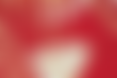 SHIKI BOUTIQUE | SAKETHEK