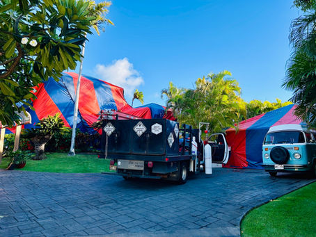 Why Absolute Termite & Pest Control Hawaii Stands Out With Their Unbeatable Savings Deals: A Closer Look