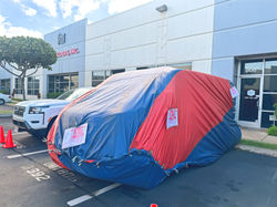 Vault Fumigation