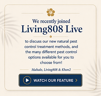 media-20cb14_df62350a7a284756b6a34510de4b05c5~mv2-navy-complete.png