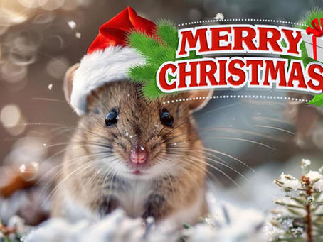 Maximize Your Home Sale: The Benefits of Tent Fumigation Before Selling