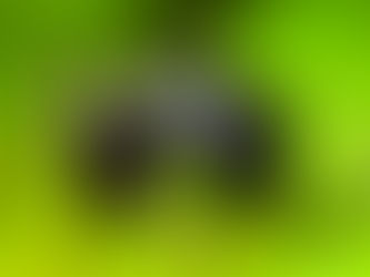 Carpenter Ants vs Drywood Termites Which Pest is the Bigger Threat