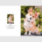 Greetings Card of Brodie, a Corgi dog (Front & back pages)