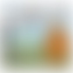 Close encounter of the bear kind