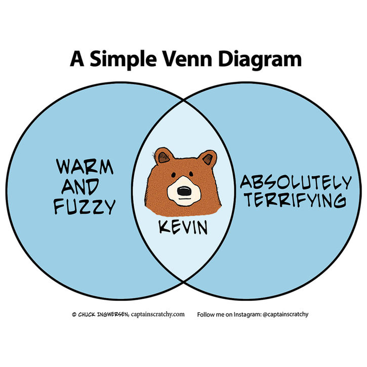 This is bearly a Venn Diagram