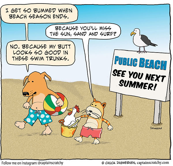 funny dog and cat leave the beach cartoon