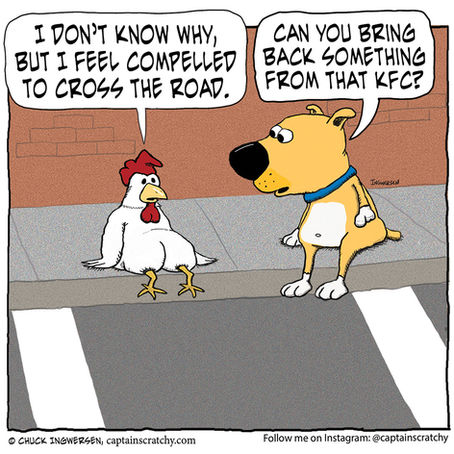 Why did the dog want the chicken to cross the road?