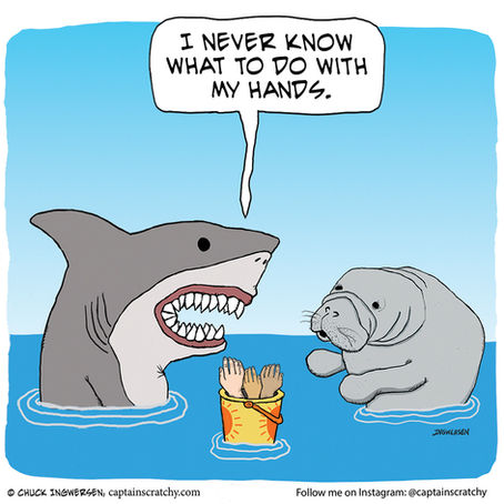 Shark confides in Manatee