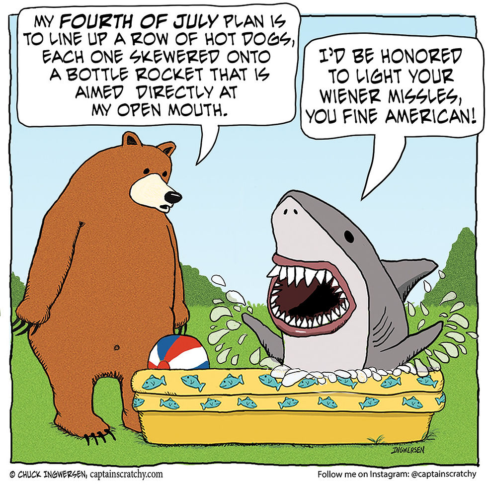 A bear's All-American plan for the Fourth of July