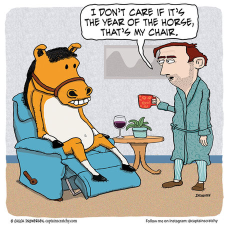 Different perspectives on The Year of the Horse