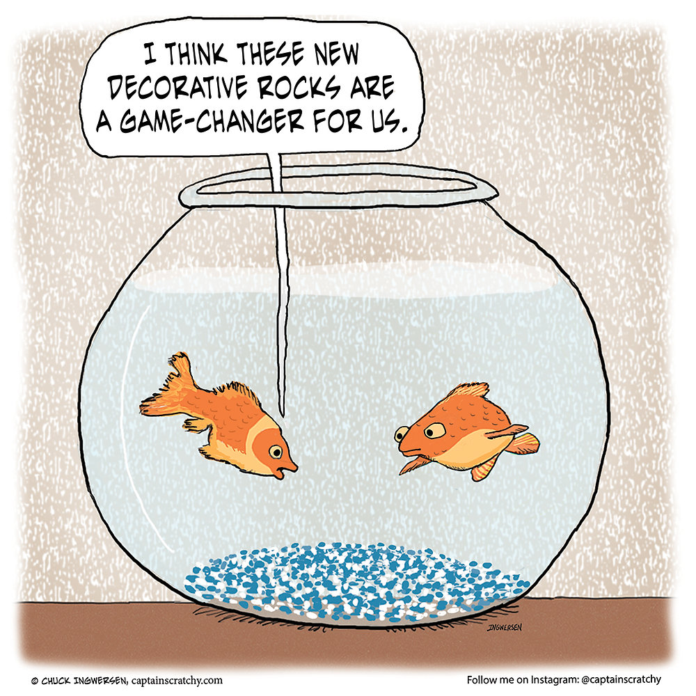 Image showcasing The goldfish and the game-changing decorative rocks
