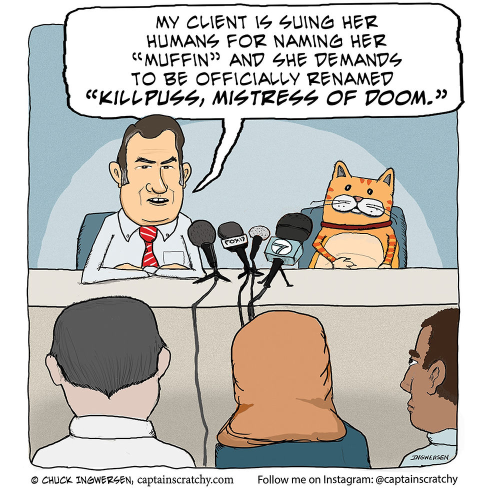 Cat suing her humans for giving her an awful name
