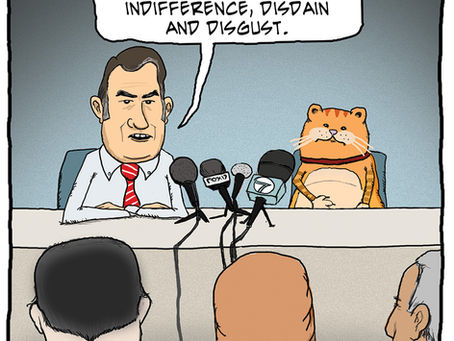 The cat will not be taking questions at this time
