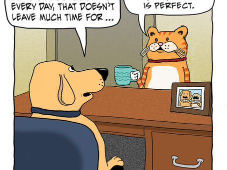 Cat's devotion to coffee is a full-time job