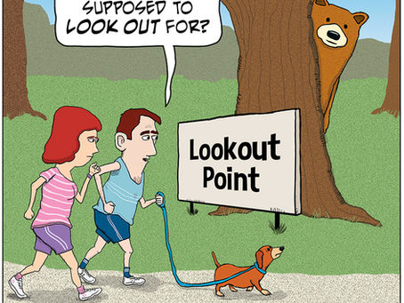 Look out for Lookout Point in the woods