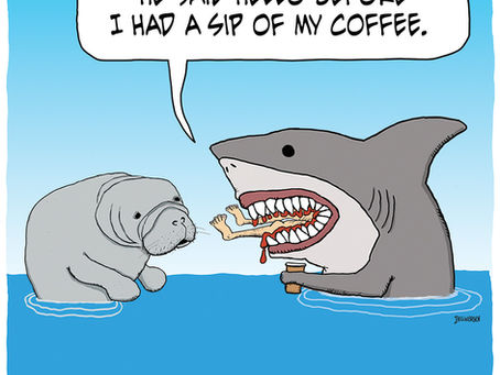 This is when sharks are most dangerous