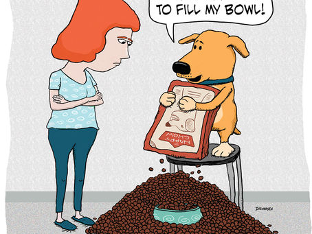 Dog fills own dog bowl ... and much of the surrounding counties