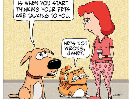 These pets sure are getting chatty