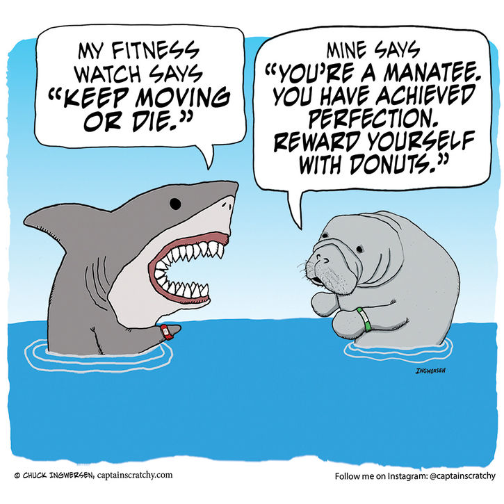 Shark and Manatee check their fitness watches