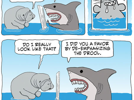 Shark paints a portrait of Manatee