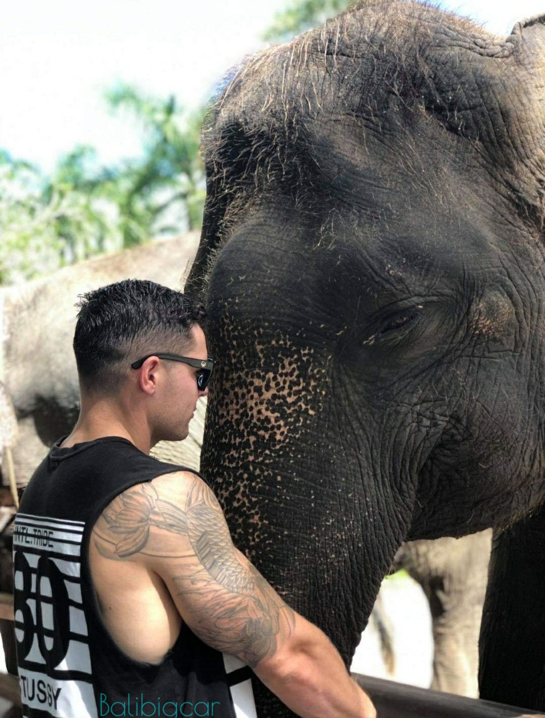 Bathe Wash Elephant + White Water Rafting