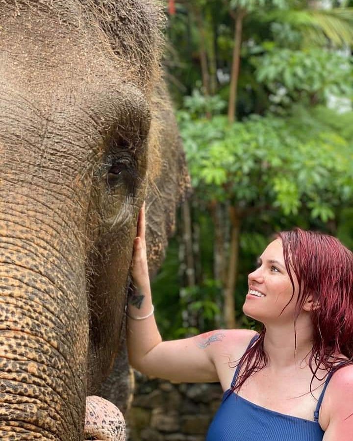 Thumbnail: Bathe Wash Elephant + Monkey Bar 