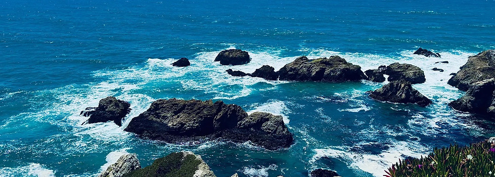 ROGUE WAVE.jpeg