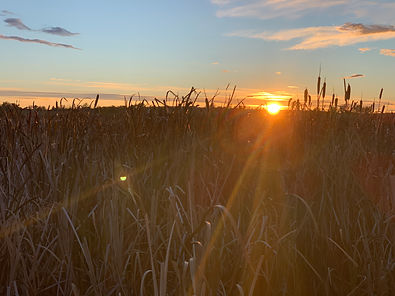 Sunrise near Dawson.jpeg