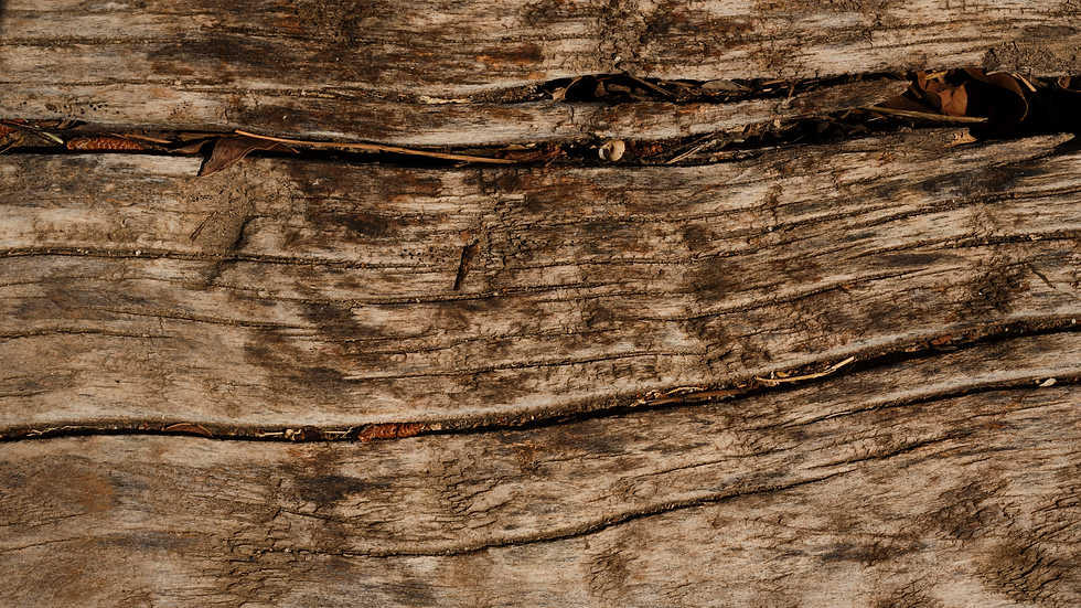 Wood background 2
