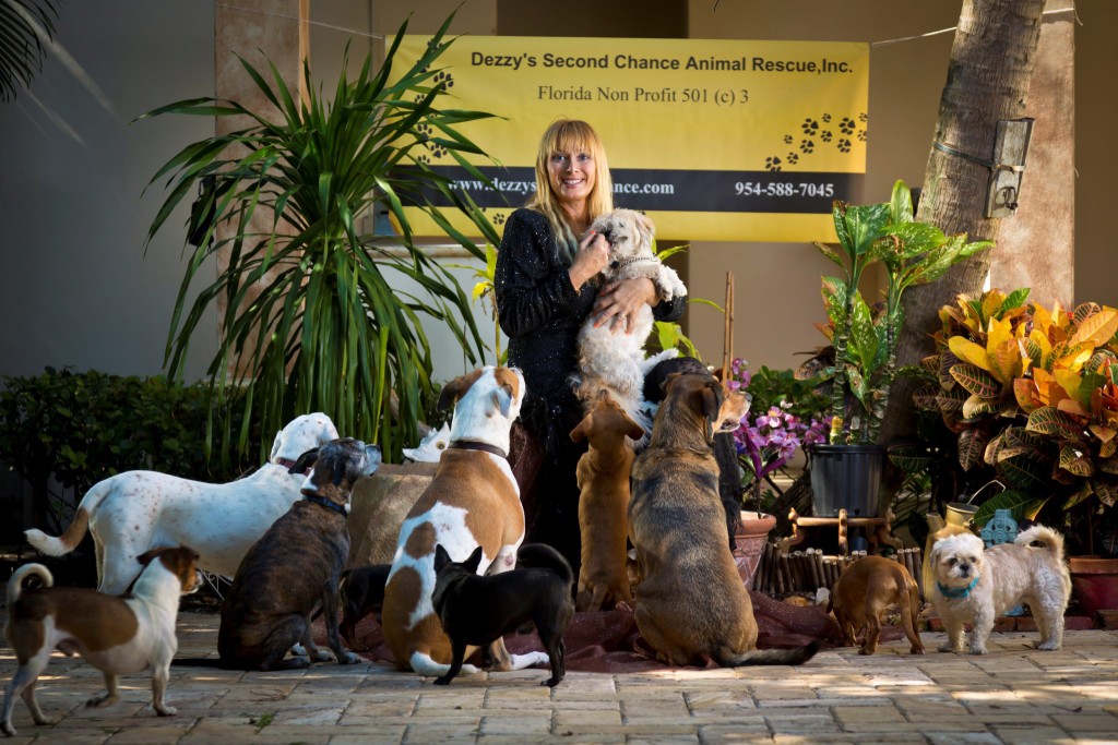 Dezzy's Second Chance Animal Rescue