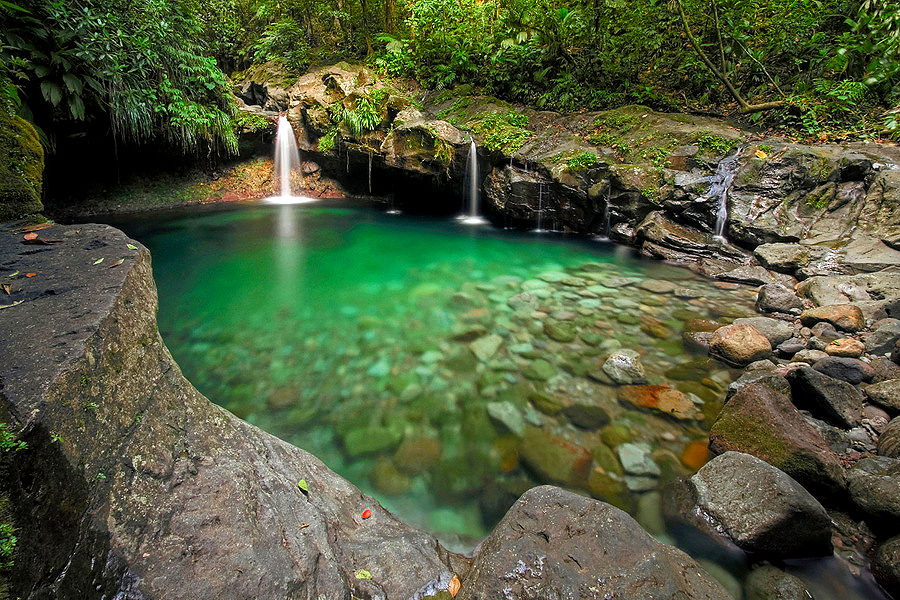 Petite chute d’eau en forêt tropicale de Guadeloupe, havre de fraîcheur en pleine nature.