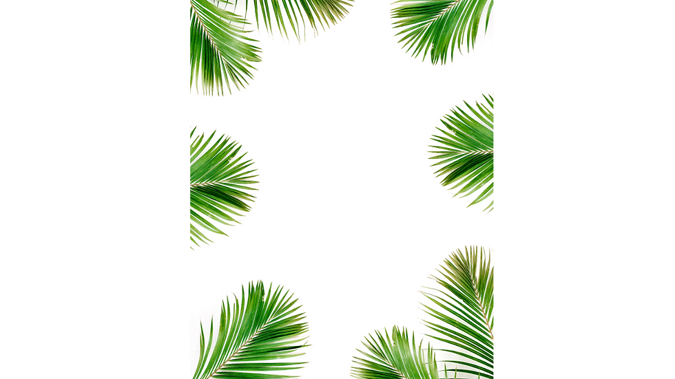 Greengos pages downloader (13).png