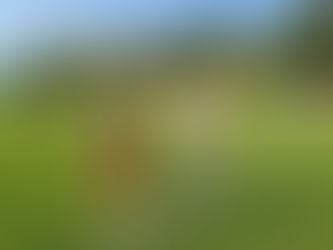 Rückblick: Oktoberfest 