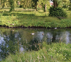 fnp005_outdoor_05.jpg