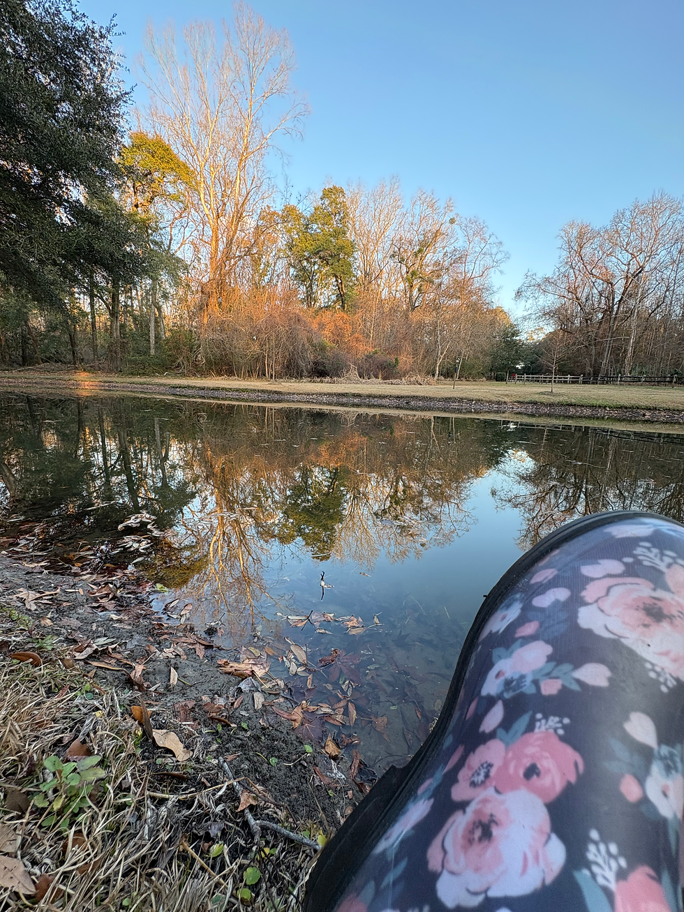 The Duck Pond near sunset at Walterboro Wildlife Sanctuary Walterboro, SC