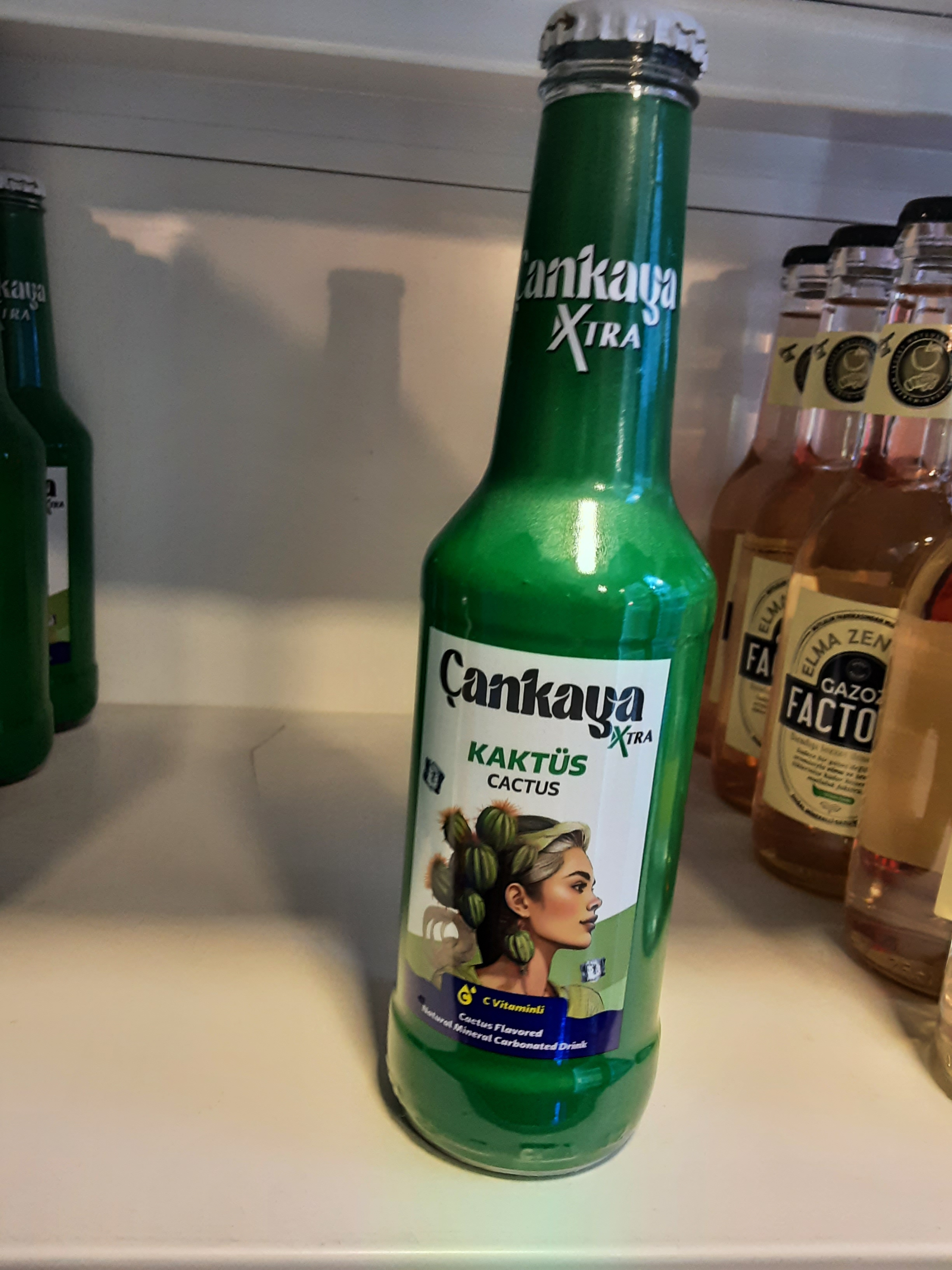 Çankaya Kaktüs