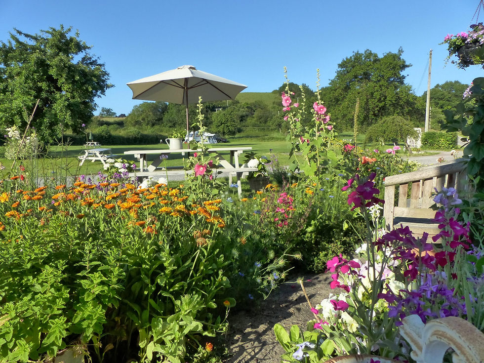 Campsite Garden