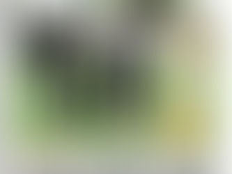 DANKE liebe KronenZeitung